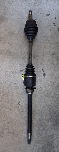 51947833 semialbero ant - 51947833,