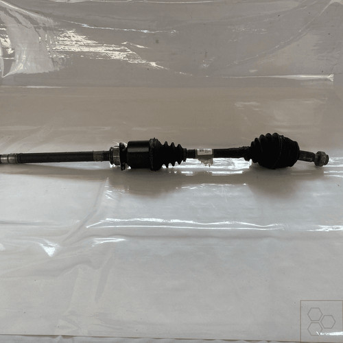 51947833 semialbero ant - semialbero,